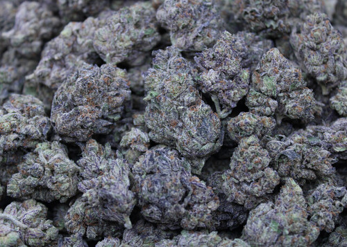 Pluto Indica 30.8% THCa - Dankadence Premium Tier Flower
