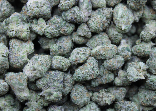 Apple Sherbet Sativa 27.03%  - Dankadence Smalls Flower