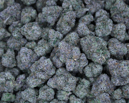 Lift Ticket Hybrid 33%  THCa - Dankadence Private Reserve Tier Flower