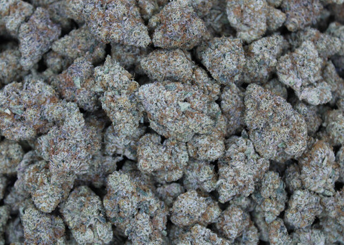 Cream Cake Indica 28.29%  THCa - Dankadence Premium Tier Flower