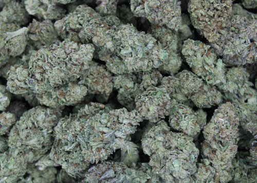 Cream Pie Indica 29.62%  THCa - Dankadence Greenhouse Flower