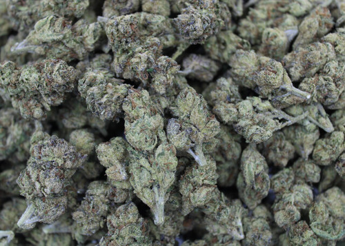 28G - Gelato #33 Hybrid 29.15%  THCa -Dankadence Greenhouse Flower