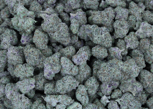 Black Ice Indica 32.78% THCa - Dankadence Private Reserve Tier Flower