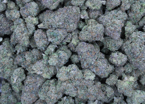 White Raspberry Gelato Indica 31.22% THCa - Dankadence Private Reserve Tier Flower