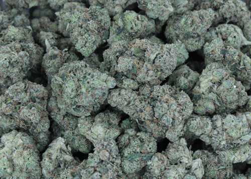 Cali-O Hybrid 27.7% THCa - Dankadence Premium Tier Flower