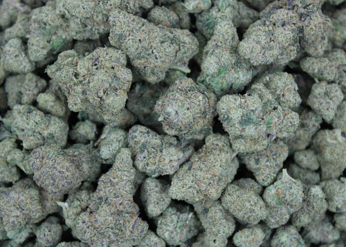 Future Haze Sativa 28.82% THCa - Dankadence Private Reserve Tier Flower