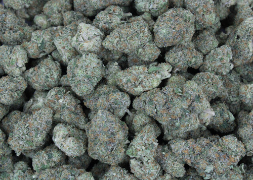White Lemon Sativa 25.4% THCa - Dankadence Premium Tier Flower