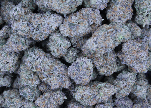 White Diesel Hybrid 31.78% THCa - Dankadence Private Reserve Tier Flower
