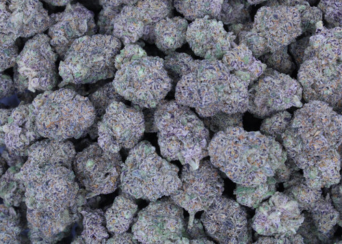 Drippin Dots Indica 31.42%  THCa- Dankadence Private Reserve Tier Flower