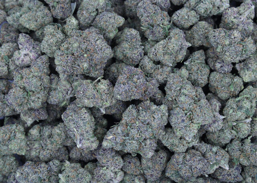 Oreoz x White Runtz 29.19% THCa - Dankadence Premium Tier Flower