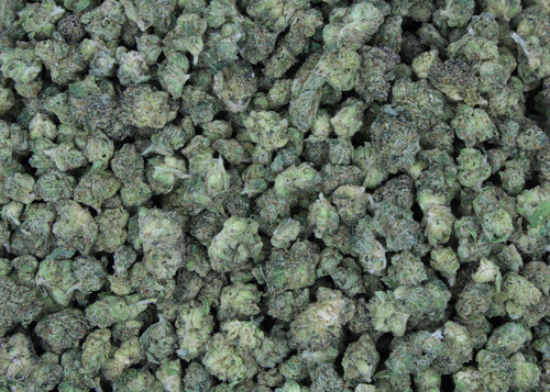 Blue Zushi(Smalls) Sativa 27.91% THCa  - Dankadence Smalls Flower