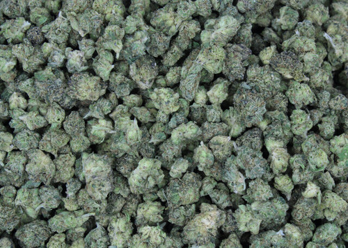 Blue Zushi(Smalls) Sativa 27.91% THCa  - Dankadence Smalls Flower