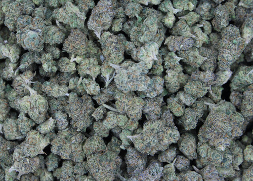 Black Garlic(Smalls) Indica 28.93 % THCa  - Dankadence Smalls Flower