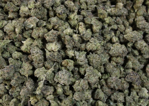 Cherry Haze(Smalls) Sativa 27.14% THCa  - Dankadence Smalls Flower