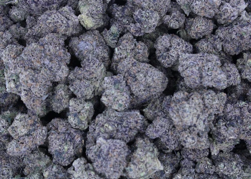 Cherry Trolli Sativa 30.65% THCa - Dankadence Private Reserve Tier Flower
