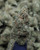 Maui Wowie Sativa 29.77% THCa - Dankadence Private Reserve Tier Flower