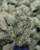 Maui Wowie Sativa 29.77% THCa - Dankadence Private Reserve Tier Flower