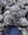 Black Mamba Indica Private Reserve 32.07% THCa - Dankadence Private Reserve Tier Flower