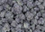 Black Mamba Indica Private Reserve 32.07% THCa - Dankadence Private Reserve Tier Flower