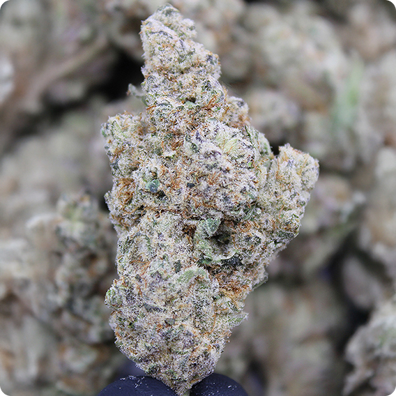 VAPE & FLOWER