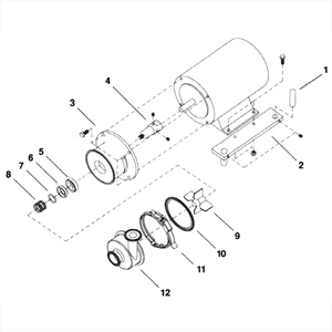 O-Ring for Surge SP41, SP51 & SP61