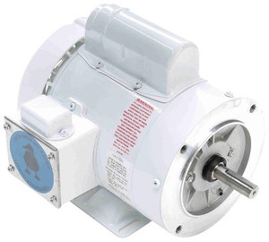 Leeson ¾ HP 240V Washguard Motor – Stainless Shaft