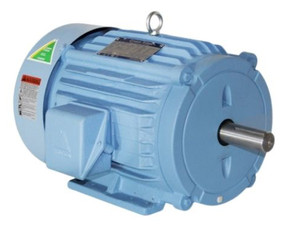 30HP 240V 3-Phase 1800RPM Vacuum Pump Motor