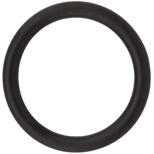 Universal Milk Pump Shaft O-Ring