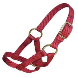 LARGE GOAT HALTER