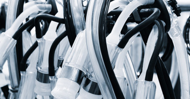 8 Tips for Cleaning Milking Tubes Effectively