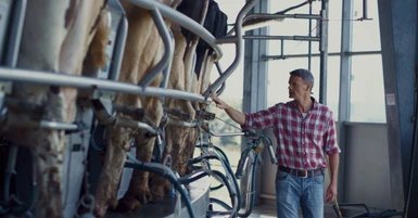 Common Causes of Dairy Equipment Downtime
