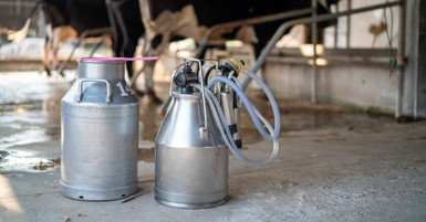 Benefits of Portable Milkers for Small-Scale Dairy Farms