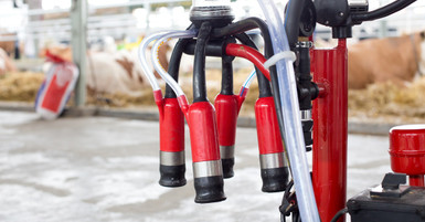 Choosing the Best Portable Milker for Your Dairy Operation