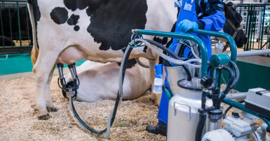 Choosing the Right DeLaval Pulsator for Your Dairy Farm