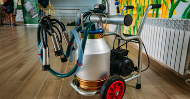 Common Handling Mistakes With Portable Milk Buckets