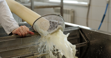 Different Types of Milking Strainers: Which One Is Best?
