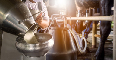 Essential Dairy Farm Equipment for Efficient Operations