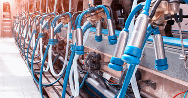 How Milking Machines Work: A Breakdown of Milking Equipment