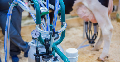 How Mobile Vacuum Pump Milkers Help Reduce Milking Time