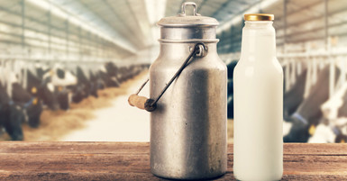 How To Maximize Efficiency With Milking Filters