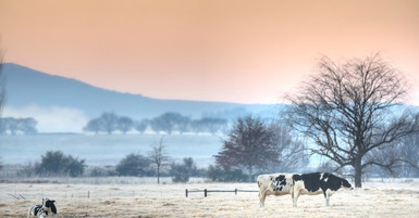 How To Winterize Your Milking Equipment and Vacuum System