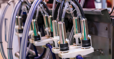 How Tubing Material Affects Dairy Milk Quality