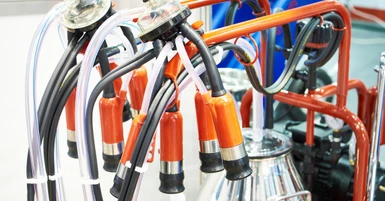 How Vacuum Pump Maintenance Impacts Milking Efficiency