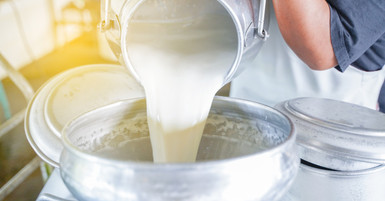 Importance of Milk Cooling Tanks To Maintain Milk Quality