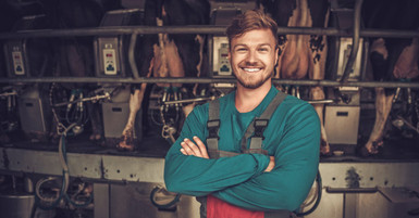 Increase Farm Efficiency With the Right Dairy Farm Equipment