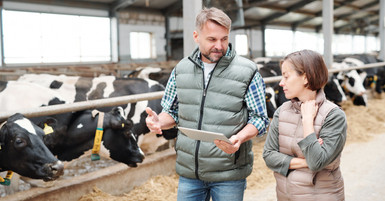 Key Maintenance Tasks To Ensure Smooth Dairy Operations