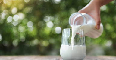 Milking Strainer Basics for Clean, Consistent Milk