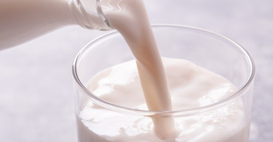 Role of Milk Pasteurization Equipment in Dairy Processing
