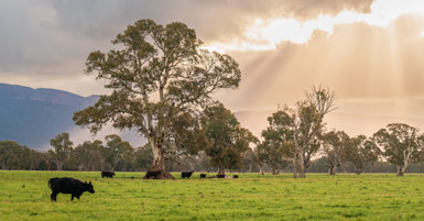 Seasonal Considerations for Dairy Farm Equipment Use