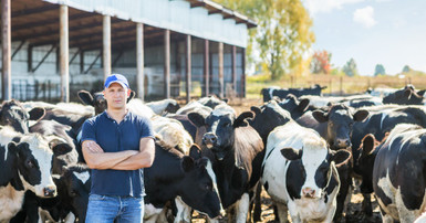 Signs It’s Time To Replace Your Dairy Milking Pulsator